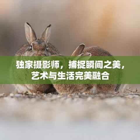 独家摄影师,捕捉瞬间之美,艺术与生活完美融合