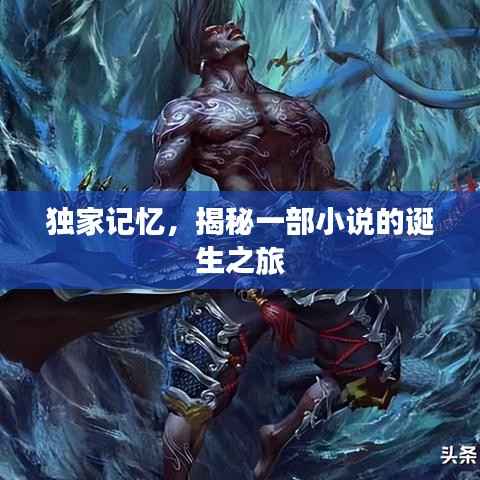独家记忆,揭秘一部小说的诞生之旅