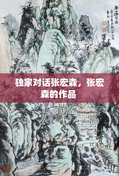 独家对话张宏森,张宏森的作品