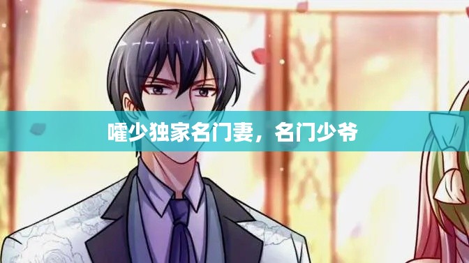嚯少独家名门妻,名门少爷