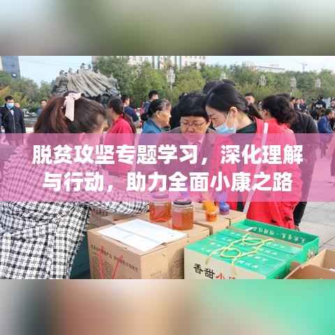 脱贫攻坚专题学习,深化理解与行动,助力全面小康之路