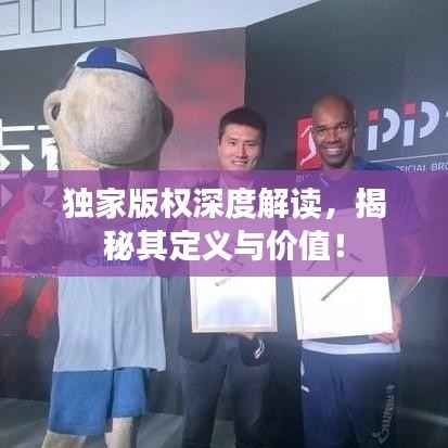 独家版权深度解读,揭秘其定义与价值!