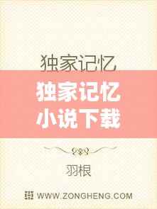 独家记忆小说下载,独家记忆小说免费下载
