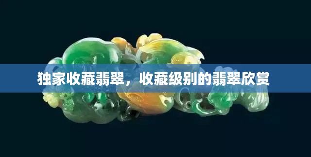 独家收藏翡翠,收藏级别的翡翠欣赏