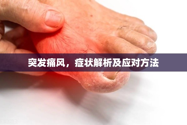 突发痛风,症状解析及应对方法