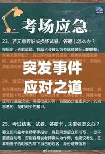 突发事件应对之道,挑战与策略解析