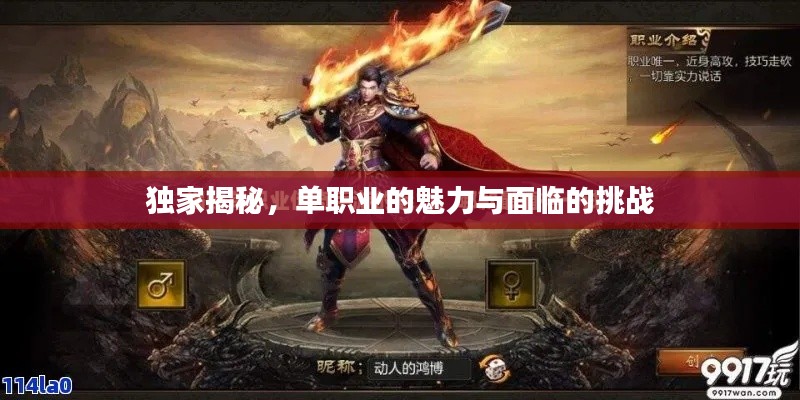 独家揭秘,单职业的魅力与面临的挑战