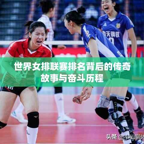 世界女排联赛排名背后的传奇故事与奋斗历程