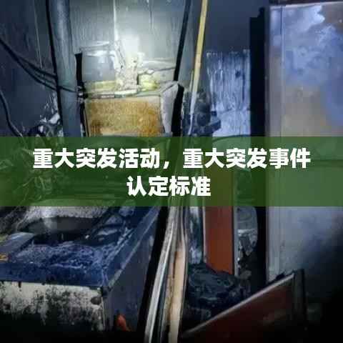 重大突发活动,重大突发事件认定标准