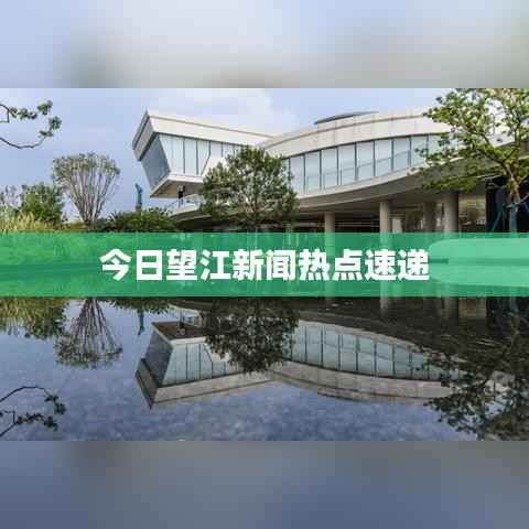 今日望江新闻热点速递
