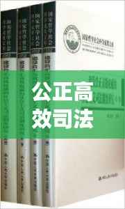 公正高效司法体系构建的关键,法院职权优化配置落实