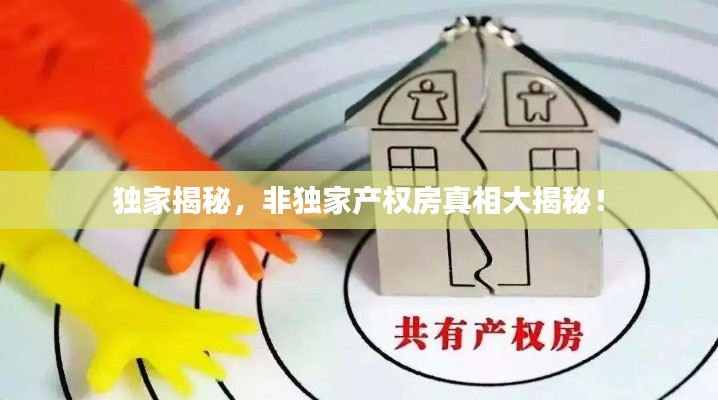 独家揭秘,非独家产权房真相大揭秘!