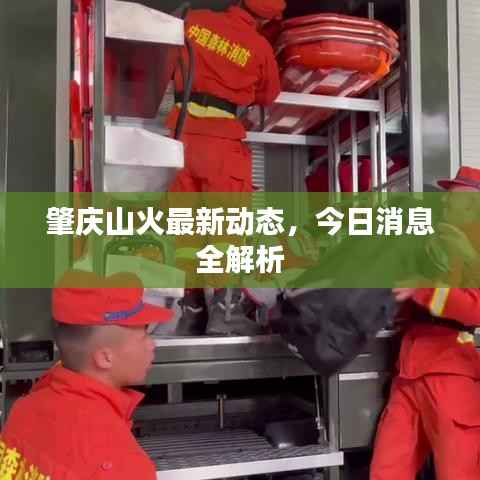 肇庆山火最新动态，今日消息全解析