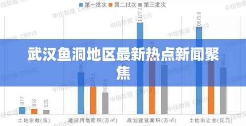 武汉鱼洞地区最新热点新闻聚焦