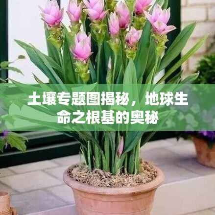 土壤专题图揭秘,地球生命之根基的奥秘