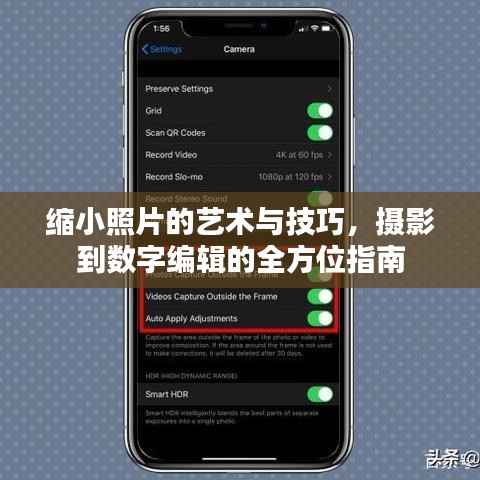 缩小照片的艺术与技巧,摄影到数字编辑的全方位指南