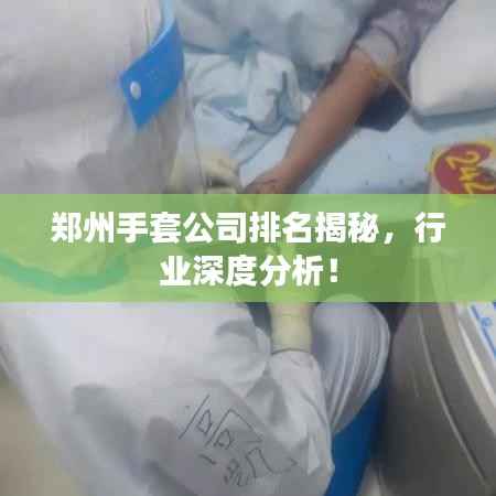 郑州手套公司排名揭秘,行业深度分析!