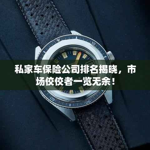 私家车保险公司排名揭晓,市场佼佼者一览无余!