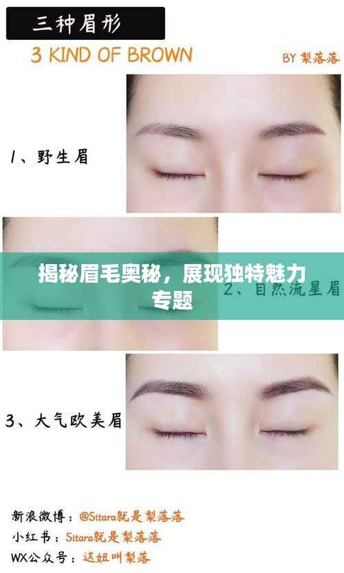 揭秘眉毛奥秘,展现独特魅力专题