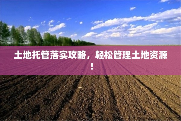 土地托管落实攻略,轻松管理土地资源!