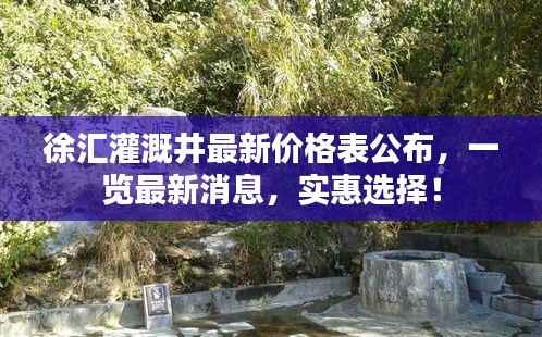 徐汇灌溉井最新价格表公布,一览最新消息,实惠选择!
