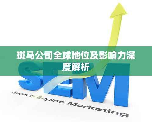斑马公司全球地位及影响力深度解析