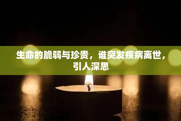 生命的脆弱与珍贵,谁突发疾病离世,引人深思
