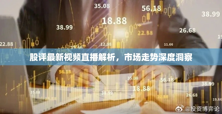 股评最新视频直播解析,市场走势深度洞察