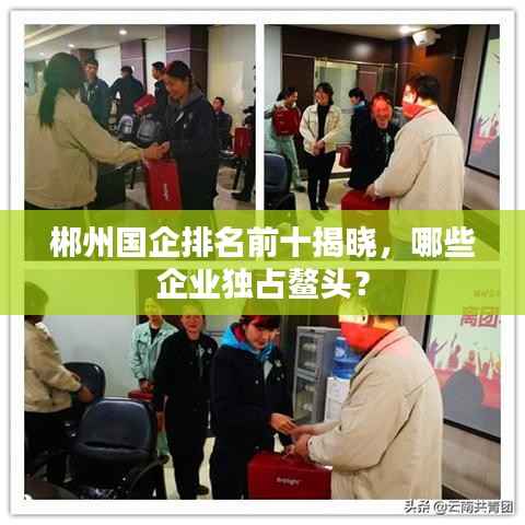 郴州国企排名前十揭晓,哪些企业独占鳌头?