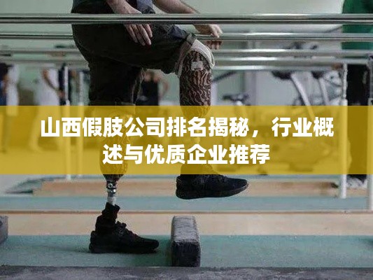 山西假肢公司排名揭秘,行业概述与优质企业推荐