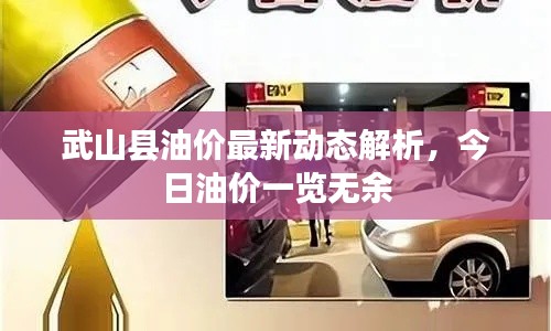 武山县油价最新动态解析,今日油价一览无余