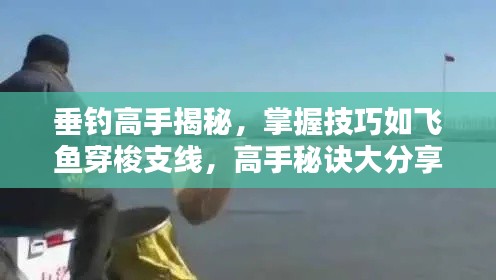 垂钓高手揭秘,掌握技巧如飞鱼穿梭支线,高手秘诀大分享!