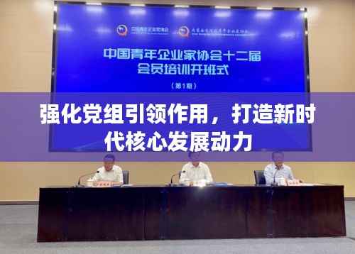 强化党组引领作用,打造新时代核心发展动力