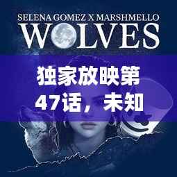 独家放映第47话,未知世界的魅力与惊喜探索