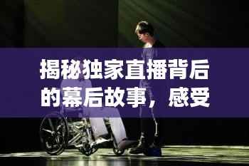 揭秘独家直播背后的幕后故事,感受艺术创作瞬间辉煌,幕后创作揭秘