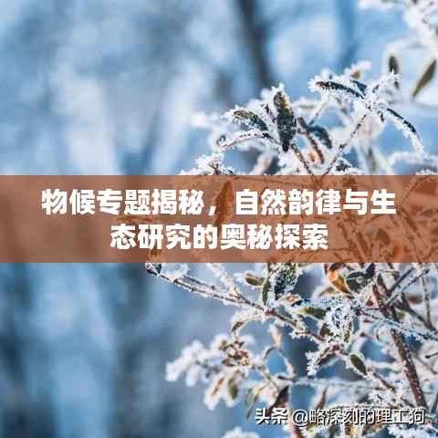 物候专题揭秘,自然韵律与生态研究的奥秘探索