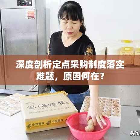 深度剖析定点采购制度落实难题,原因何在?