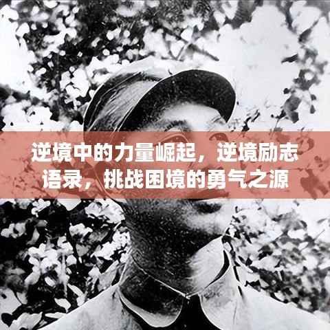逆境中的力量崛起,逆境励志语录,挑战困境的勇气之源