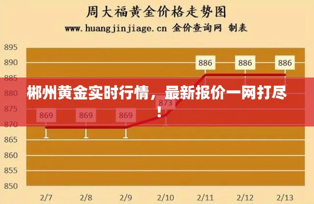 郴州黄金实时行情,最新报价一网打尽!