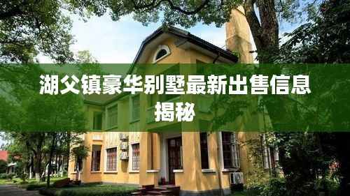 湖父镇豪华别墅最新出售信息揭秘