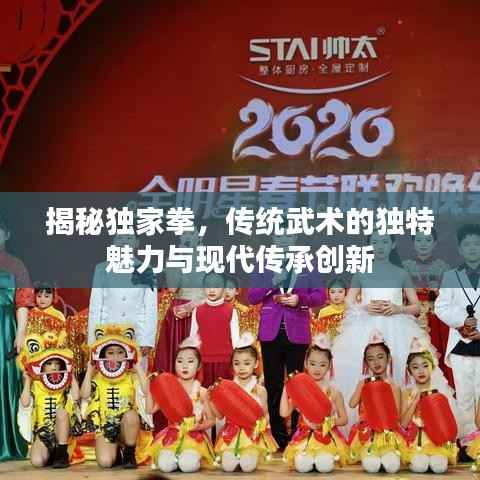 揭秘独家拳,传统武术的独特魅力与现代传承创新