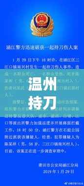 温州持刀劫持案最新进展揭秘,深度解析案件细节