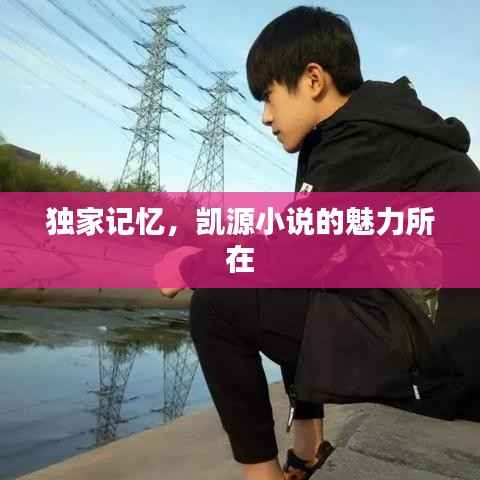 独家记忆,凯源小说的魅力所在