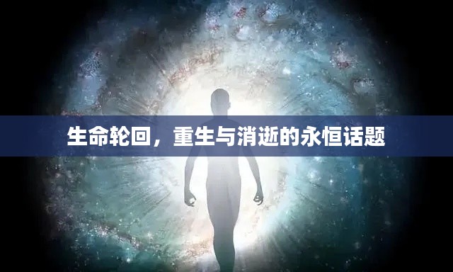 生命轮回,重生与消逝的永恒话题