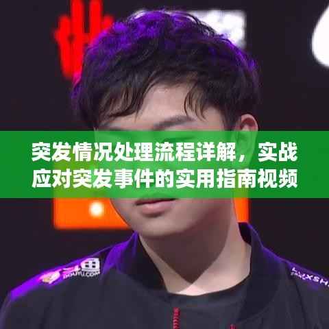 突发情况处理流程详解,实战应对突发事件的实用指南视频