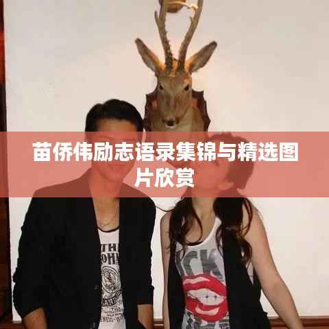 苗侨伟励志语录集锦与精选图片欣赏