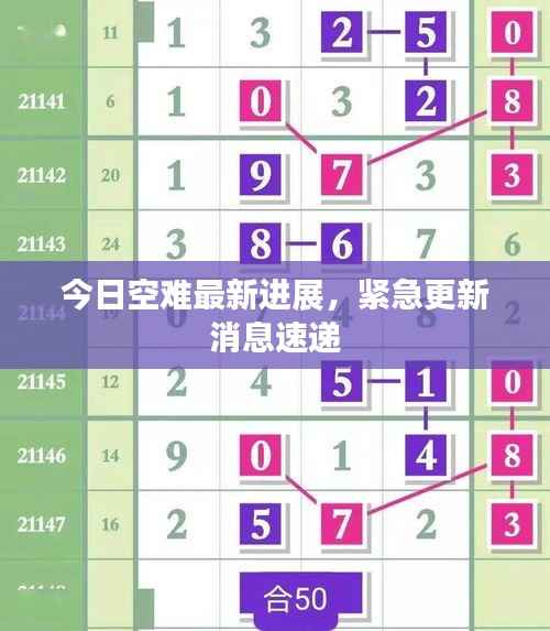 今日空难最新进展,紧急更新消息速递
