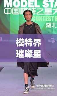 模特界璀璨星辉,揭秘当前最受欢迎的十大模特排名!