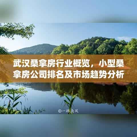 武汉桑拿房行业概览,小型桑拿房公司排名及市场趋势分析