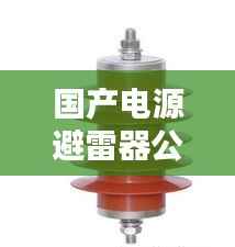 国产电源避雷器公司排名大揭秘,权威榜单,不容错过!